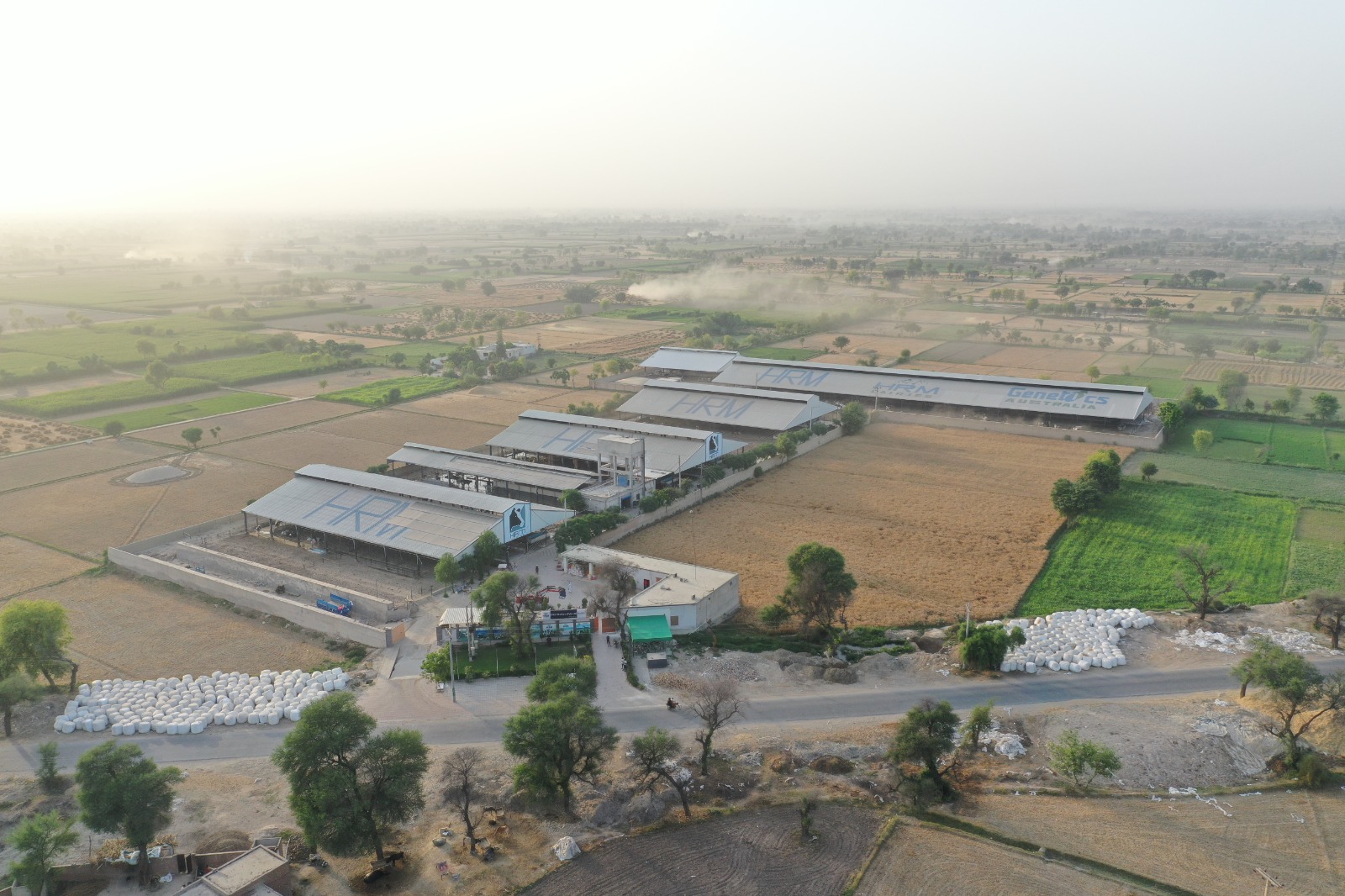 HRM Dairies Pakistan Livestock Farming